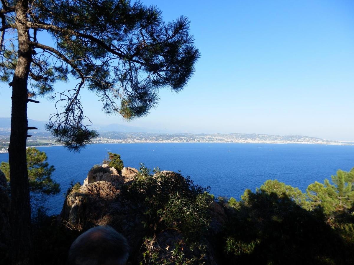 קאן Esterel Terrasses, Roof Top, Plage, Parking Payant מראה חיצוני תמונה