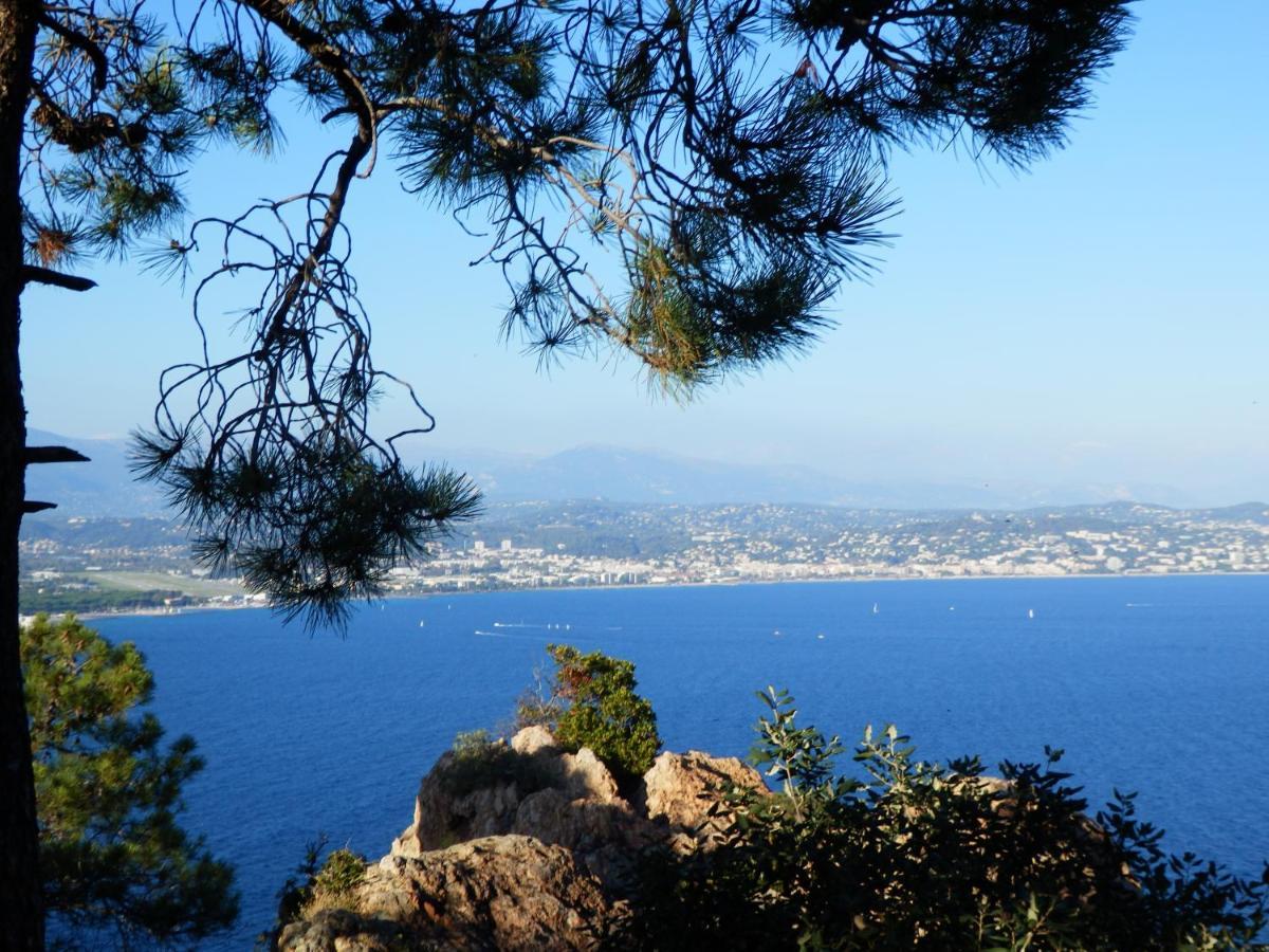 קאן Esterel Terrasses, Roof Top, Plage, Parking Payant מראה חיצוני תמונה